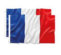 Bandiera Francia 90 x 150 cm - ultra resistente, doppia funzione con 2 occhielli e passante per asta, bandiera nazionale francese (2)