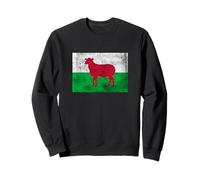 Bandiera Galles Cymru Cardiff Swansea Wrexham Felpa