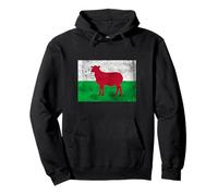 Bandiera Galles Cymru Cardiff Swansea Wrexham Felpa con Cappuccio