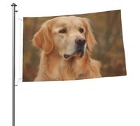 Bandiera Golden Retriever, 6 x 90 cm, stampa su entrambi i lati, bandiere da giardino, bandiera da cortile per esterni, bandiere per vacanze, banner regalo con occhielli sfondo fotografico per interni