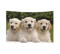 Bandiera Golden Retriever Cuccioli 0,9 x 1,5 m No Fade Bandiera di benvenuto Giardino Cortile Casa Bandiere Decorative Garden Yard Cartello Interno Esterno Banner Party Home Decor