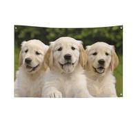 Bandiera Golden Retriever Cuccioli 0,9 x 1,5 m No Fade Bandiera di benvenuto Giardino Cortile Casa Bandiere Decorative Garden Yard Cartello Interno Esterno Banner Party Home Decor
