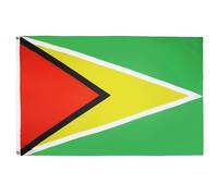 BANDIERA GUYANA 150x90cm - GRAN BANDIERA GUYANA 90 x 150 cm Poliestere leggero - Bandiere - AZ FLAG