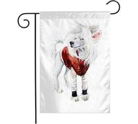 Bandiera Hand Lovable Sketch Jacket Chinese Crested Animal Dog Red Costume Adorable Animals White Wildlife Tessuto Da Esterno Bandiera Di Benvenuto, Per Feste Strada, Balcone, 30x45cm