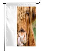 Bandiera Highland Highlands Mammal Teardrop Coo Licking Crying His Nose Animals Fur Wildlife Its Cow Resistente Alle Intemperie Bandiera In Poliestere, Per Balcone, Feste Estive, 30x45cm