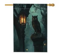 Bandiera horror per la casa di Halloween con gufo, 71 x 101 cm, per esterni, spaventosa casa infestata, castello verticale standard, bandiera per la casa, raccapricciante scenico cortile cortile
