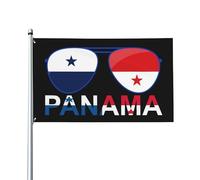 Bandiera Impeach Pelosi 3x5 - Bandiera da esterno anti Nancy Pelosi, striscione da giardino con occhielli