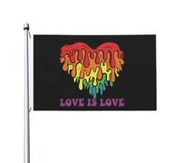 Bandiera L'Amore È Amore Gay Pride Cuore Arcobaleno Resistente Ai Raggi Uv Garden Flag Doppie Cuciture Bandiere Pirata Per Giardino Activités Sportives Eventi 3X5Ft