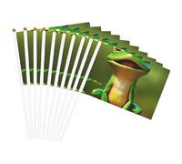 Bandiera leggera con stampa rana verde, bandiere per festival per interni ed esterni, decorazione per parata eventi