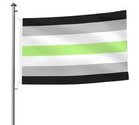 Bandiera LGBT Pride Agender House, resistente allo sbiadimento, per dormitori esterni, facile da installare, colori vivaci, bandiere di benvenuto con 2 occhielli in ottone