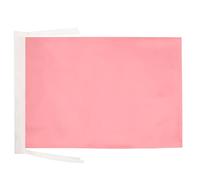 AZ FLAG Bandiera Monocolore Rosa 45x30cm - BANDIERINA Rosa 30 x 45 cm cordicelle