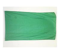 BANDIERA MONOCOLORE VERDE 150x90cm - BANDIERA VERDE 90 x 150 cm - AZ FLAG