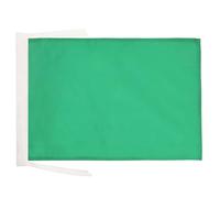BANDIERA MONOCOLORE VERDE 45x30cm - BANDIERINA VERDE 30 x 45 cm cordicelle - AZ FLAG