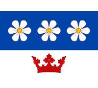 Bandiera Municipal Of Velké Kunětice Robuste Bandiera Pace Appendere Decorazioni Da Giardino Per All'Aperto Vacanza Piantone 3X5 Ft