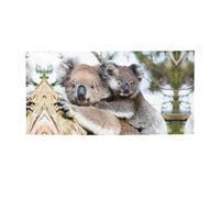 Bandiera natalizia stampata con koala, striscione colorato ideale per giardino, bar e riunioni di amici