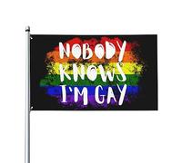 Bandiera "Nessuno sa che sono gay" 3x5 - Divertente striscione LGBTQ Pride per cortile, giardino o esposizione all'aperto