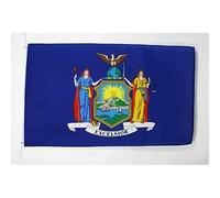 BANDIERA NEW YORK 90x60cm - BANDIERA STATO AMERICANO - USA - STATI UNITI 60 x 90 cm - AZ FLAG
