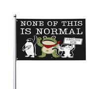 Bandiera "Niente di tutto questo è normale" - Dichiarazione di protesta contro il ghiaccio - Bandiere da giardino 3x5 - Stendardo da esterno