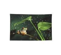 Bandiera orizzontale stampata a quattro fori con rana e pioggia, morbida e resistente allo sbiadimento, da appendere alla parete per la stanza del college