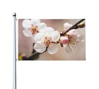 Bandiera Pace Cherry Appendere Outdoorbandiera Con 2 Occhielli Bandiere Giardino Per Balcone Patio Cortile 3X5 Ft