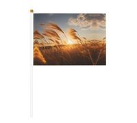 Bandiera palmare con canne nel vento su entrambi i lati, 14 x 20,8 cm, per feste, eventi sportivi