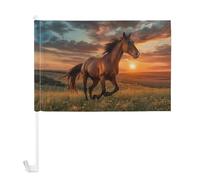 Bandiera per auto, motivo: cavallo che corre sull'erba, 30 x 45 cm, per finestre, per donne e uomini