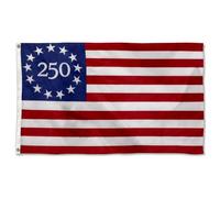 Bandiera Per Barca 250 Years 250Th Anniversary We The People Semiquincentennial 2 Occhielli In Metallo Gran Bandiere Stampa Fronte-Retro Flag Per Sports Events Cultural Display Events 90X150Cm