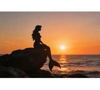 Bandiera Per Barca Fairy Tales Beauty Charming Fish Ocean Lady In Ocean