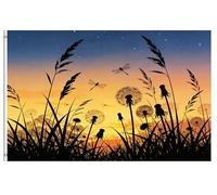 Bandiera Per Barca Summer Spring Scenery Dragonfly Night Sunset Over The
