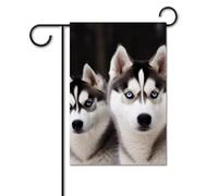 Bandiera per cani Husky 30,5 x 45,7 cm bandiere per esterni divertente bandiera per feste banner stampato su entrambi i lati bandiere da giardino benvenuto fuori cortile bandiera per casa decorazione