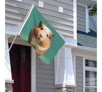 Bandiera per esterni, 1,2 x 1,8 m, resistente per interni ed esterni, per tutte le stagioni, bandiere da giardino carino e strano criceto benvenuto bandiera da cortile bandiera doppia faccia con