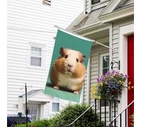 Bandiera per esterni 3 x 1,5 m resistente per interni ed esterni, per tutte le stagioni, bandiere da giardino carino e strano criceto benvenuto bandiera da cortile bandiera doppia faccia con occhielli