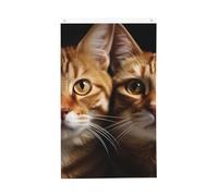 Bandiera per gatti, 3 x 5 m, verticale, doppia faccia, da giardino, per esterni, cortile, casa, divertente, decorazione per la casa, bandiere da giardino per poster da appendere alla parete