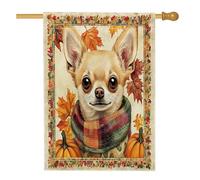 Bandiera per la casa del cane Chihuahua autunnale, 71 x 101 cm, double face, decorativa per esterni, bandiera autunnale vintage per cuccioli, bandiera per la casa, zucca per animali domestici