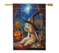 Bandiera per la casa del cane con barboncino strega di Halloween, 71,1 x 101,2 cm, double face, per esterni, decorazione esterna, tarocchi astrologia cucciolo frontyard bandiera per la casa, strega