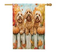 Bandiera per la casa del cane con Cockapoo autunnale, 71 x 101 cm, per esterni, recinti autunnali, zucca, acero, standard, verticale, per la casa, per cuccioli di animali domestici, cortile, cortile