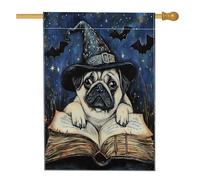 Bandiera per la casa del cane della strega di Halloween, 71 x 101 cm, double face, decorativa per esterni, vintage, libro magico per cuccioli, bandiera per la casa, estetica esterna piccola bandiera