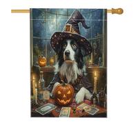 Bandiera per la casa del cane di Halloween Witch Border Collie 71 x 101 cm per esterni, tarocchi astrologia cucciolo bandiera verticale standard per la casa, bandiera per la casa del cortile anteriore