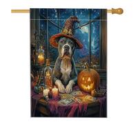 Bandiera per la casa del cane di Halloween Witch Pitbull, 71,1 x 101,2 cm, double face, per decorazione esterna, tarocchi astrologia cucciolo frontyard bandiera per la casa, strega all'aperto piccola