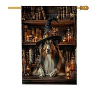 Bandiera per la casa del cane Rough Collie di Halloween, 71 x 101 cm, double-face, decorativa per esterni, spaventosa strega, libri magici per cuccioli, bandiera per la casa in lino, piccola bandiera