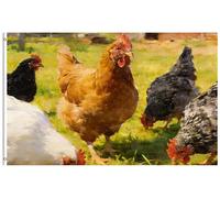 Bandiera Personalizzata Chickens Hens In Summer Spring Rustic Farm Nature