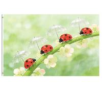 Bandiera Personalizzato Little Ladybugs With Umbrella Walking On The Grass