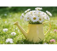Bandiera Personalizzato Spring Summer Flower Daisies Flower Green Grass