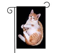 Bandiera Pet Animal Beautiful Happy Meow Mammals Domestic Felines Kitty Cute Paw Animals Feline Wildlife Bandiera Militare Decorazione Striscione All'Aperto, Per Balcone, Giardino, 30x45cm