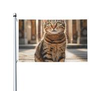 Bandiera Pirata 90X150cm, Cat on the Road Resistente allo Scolorimento Bandiere da giardino Classica Flag per Ristoranti All'aperto Interno