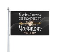 Bandiera Pirata 90X150cm, The Best Moms Get Promoted to Grammy Durevole Bandiere con Occhielli Flag per Bar Balcone All'aperto