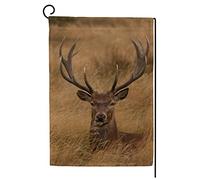 Bandiera Pirata Deer on the Autumn Field con Occhielli Bandiere da Balcone Resistente alle Intemperie Bandierine per All'aperto Celebrazione 30x45cm