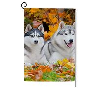 Bandiera Pirata Happy Siberian Huskies in Autumn Park Classica Bandiere Stampa Bandierine per Balcone Conferenza 30x45cm