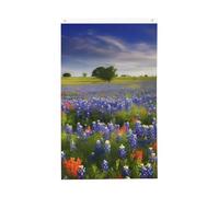 Bandiera Pirata Resistente Alle Intemperie, Texas Bluebonnets Scenery Colori Vivaci Bandiere Da Giardino Per Balcone Parata Striscioni Di Bunting 90X150Cm