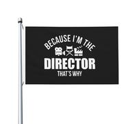 Bandiera Pirati 90X150cm, Because I'M The Director Resistente alle Intemperie Bandiere con Occhielli Striscioni di Bunting per Balcone Parata All'aperto